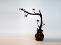 Bonsai trees